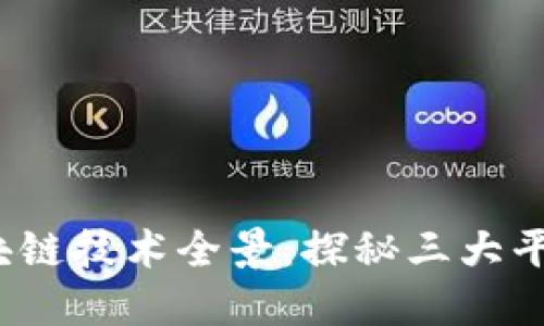 2023年区块链技术全景：探秘三大平台及其类型