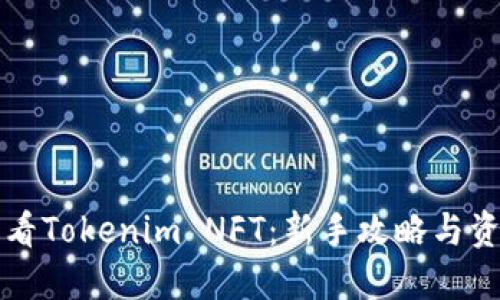 如何查看Tokenim NFT：新手攻略与资源推荐