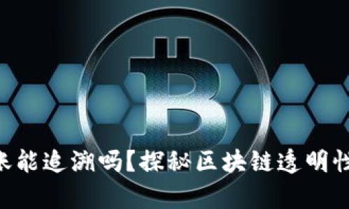 Tokenim转账能追溯吗？探秘区块链透明性的真正意义