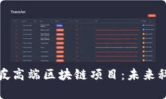 探索新加坡高端区块链项