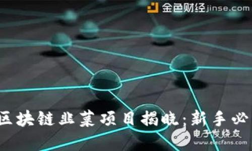 2023年最佳区块链韭菜项目揭晓：新手必看的投资指南