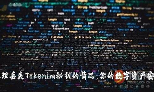 如何处理丢失Tokenim秘钥的情况：你的数字资产安全指南