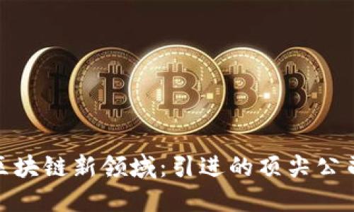 探索杭州的区块链新领域：引进的顶尖公司及创新实例