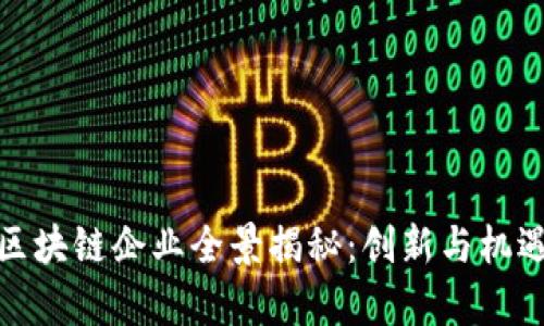 海南区块链企业全景揭秘：创新与机遇并存