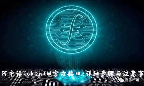 如何申请TokenIM官方接口：详细步骤与注意事项