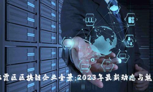 栖霞区区块链企业全景：2023年最新动态与魅力