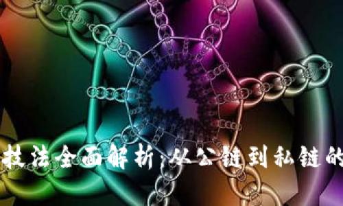 区块链实战技法全面解析：从公链到私链的应用与实践