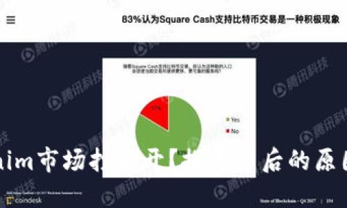 为什么Tokenim市场打不开？探寻背后的原因与解决方案
