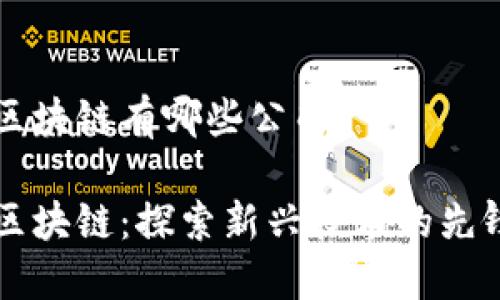 无币区块链有哪些公司

无币区块链：探索新兴技术的先锋公司