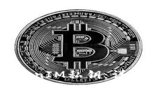 如何安全查询TokenIM私钥：详细指南与注意事项