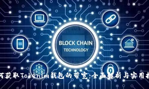 如何获取Tokenim钱包的带宽：全面解析与实用技巧