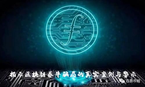 揭示区块链养牛骗局的真实案例与警示