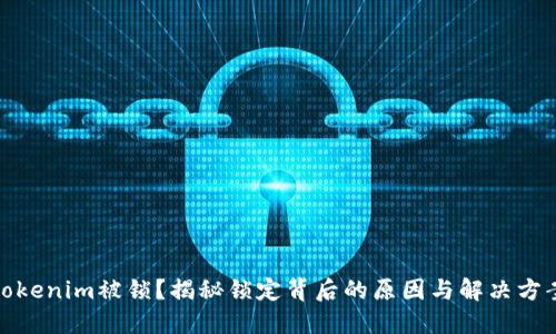 tokenim被锁？揭秘锁定背后的原因与解决方案