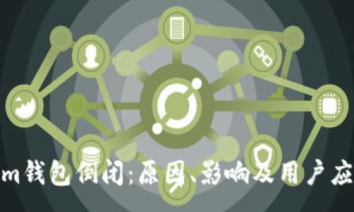 :
Tokenim钱包倒闭：原因、影响及用户应对策略