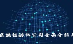 印度区块链孵化公司全面