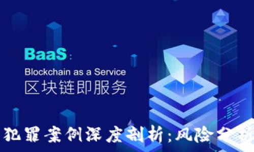   
区块链合约犯罪案例深度剖析：风险分析与防范对策