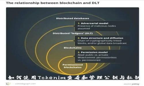  如何使用Tokenim查看和管理公钥与私钥