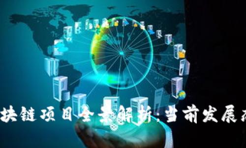 2023年全球区块链项目全景解析：当前发展态势与未来前景