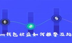Tokenim钱包被盗如何报警及