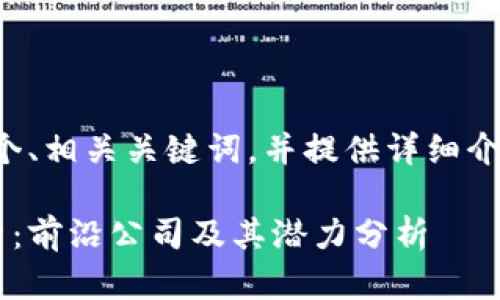 根据您的要求，我会生成一个、相关关键词，并提供详细介绍和问题分析。以下是内容：

区块链养老基金的创新探索：前沿公司及其潜力分析