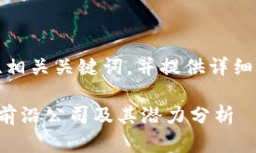 根据您的要求，我会生成一个、相关关键词，并提供详细介绍和问题分析。以下是内容：

区块链养老基金的创新探索：前沿公司及其潜力分析