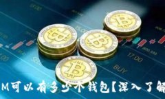  一个TokenIM可以有多少个钱