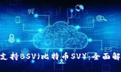 Tokenim如何支持BSV（比特币