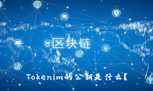 Tokenim的公钥是什么？