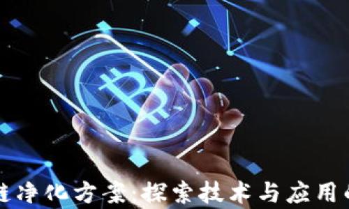
区块链净化方案：探索技术与应用的前沿