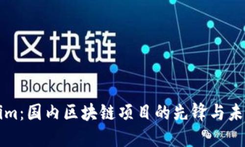 Tokenim：国内区块链项目的先锋与未来展望