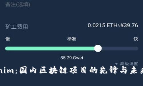 Tokenim：国内区块链项目的先锋与未来展望
